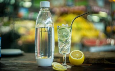Gin and Tarragon Lemonade