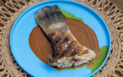 Barramundi Tail with Chicken Sauce