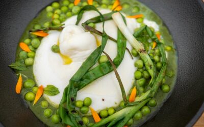Burrata with Spring Onion Purée