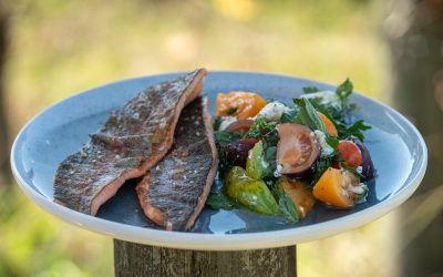 BBQ Trout with Tomato Salad